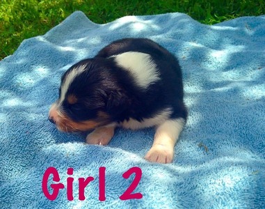 Girl 2 (6/22/2015)