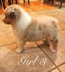 Girl 3 (1/9/2017)