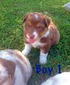 Boy 1 (8/9/16)