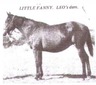 LITTLE FANNY
